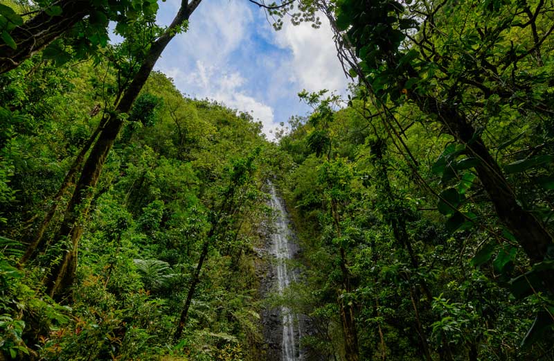 آبشار مانوا در دل طبیعت جنگلی جزایر هاوایی از نمای دور