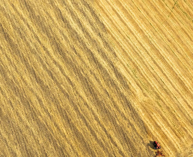 عکس هوایی از تراکتوری قرمز در مزرعه ای زردرنگ