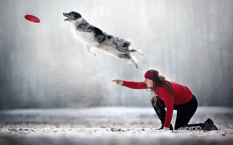 زنی در حال پرتاب فریزبی برای سگش