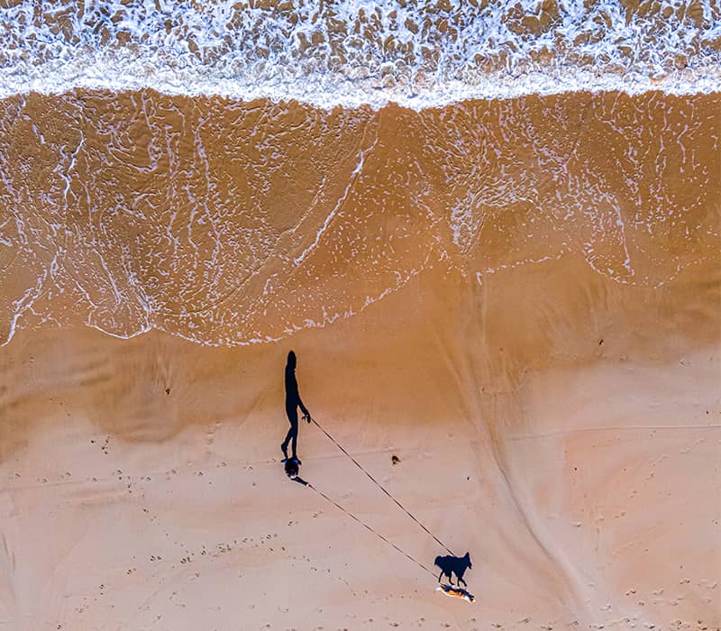 عکسی هوایی از یک سگ با صاحبش