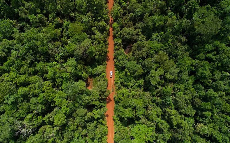 عبور جاده از جنگل آمازون