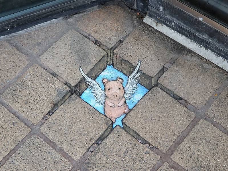 نقاشی سه بعدی خوک بالدار روی زمین
