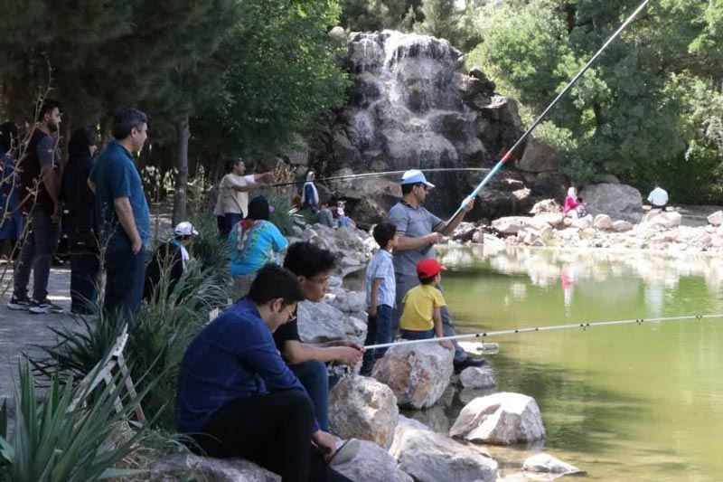 ماهی‌گیری در برکه باغ گیاه شناسی مشهد