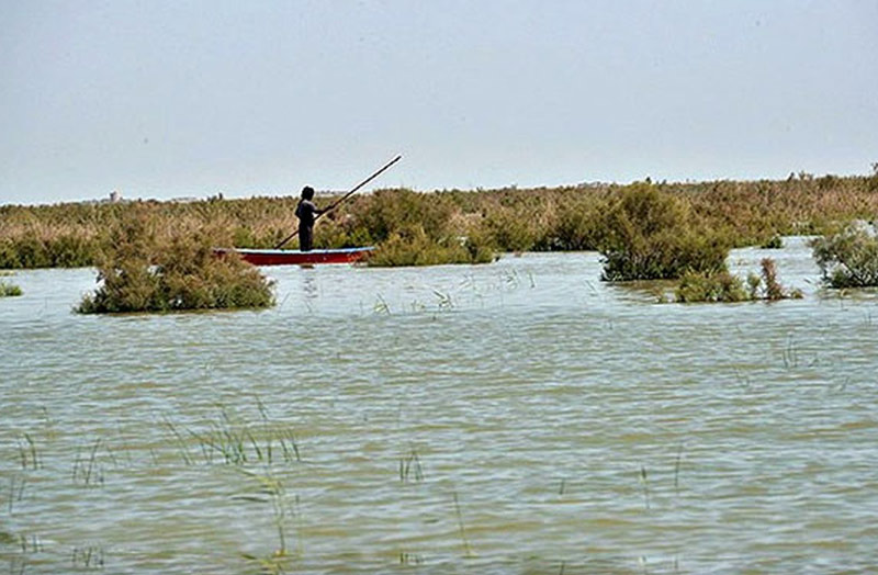 ماهیگیر محلی در قایق در تالاب هامون