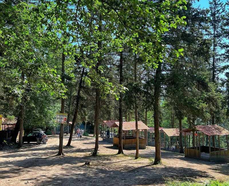 پارک جنگلی آذر رود مازندران