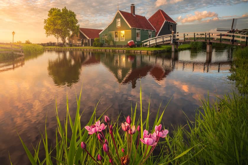 طبیعت زیبای هلند در بهار