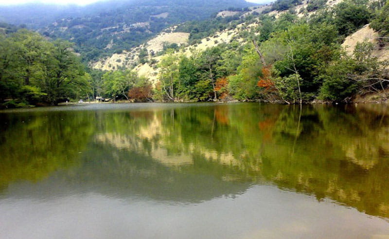 بازتاب بوته های سبز در دریاچه شورمست