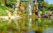 حوضچه ماهی در کنار آبشاری کوتاه در باغ مشهد