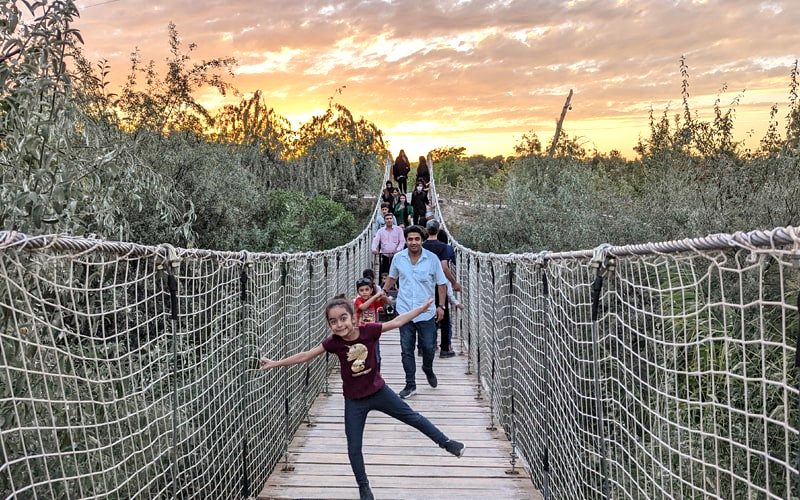پل چوبی معلق در پارک ژوراسیک مشهد