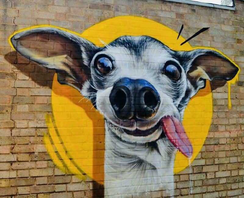گرافیتی یک سگ
