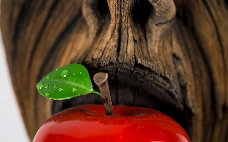 سیب قرمزی در دهان مجسمه ای چوبی