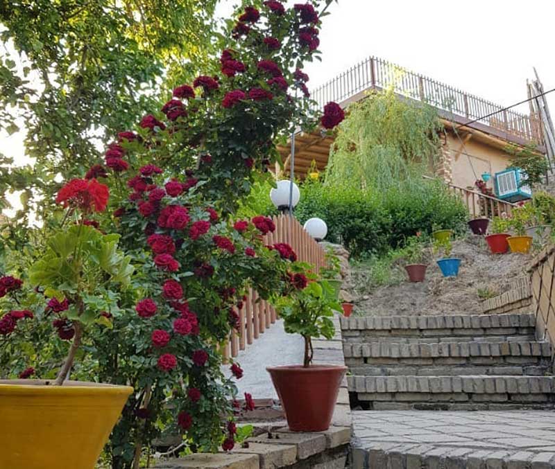 گلدان های رنگارنگ و بوته های رز سرخ در حیاط اقامتگاه بومگردی شهربانو