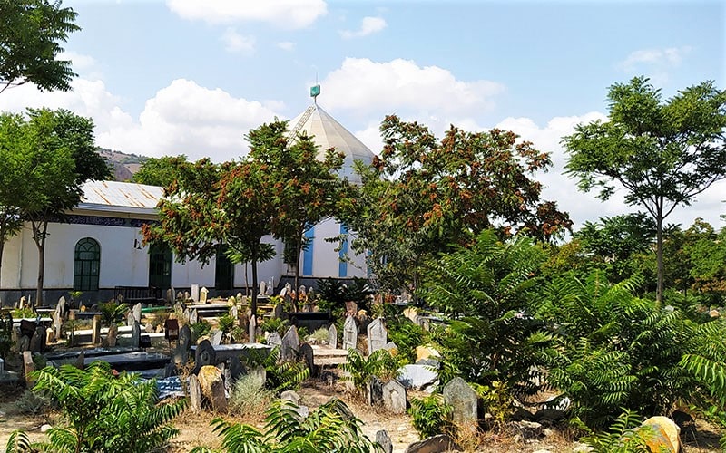 قبرستان سرسبز سفید چاه، منبع عکس: گوگل مپ، عکاس:‌ مجتبی غلامی