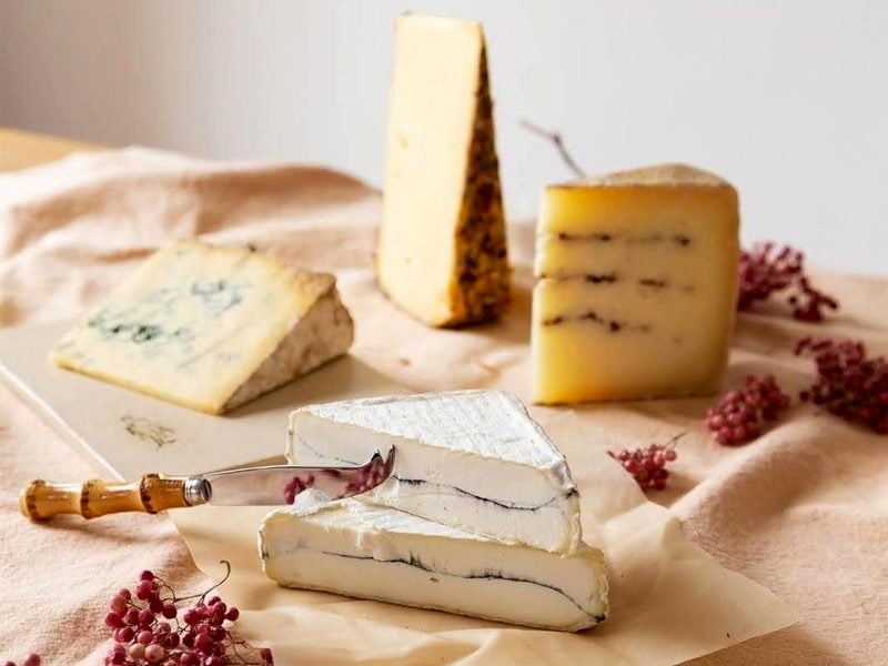 پنیرهای قالبی
