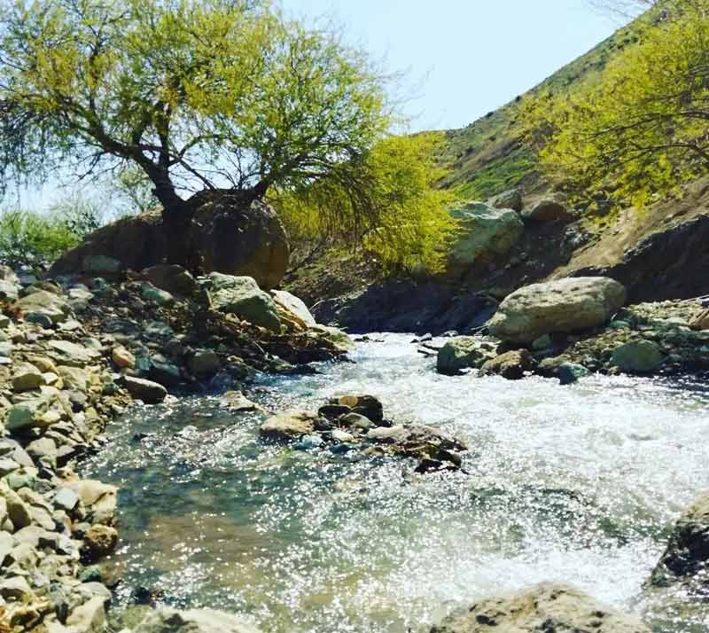 رودخانه خروشان و درخت سرسبز در طبیعت روستای وردیج