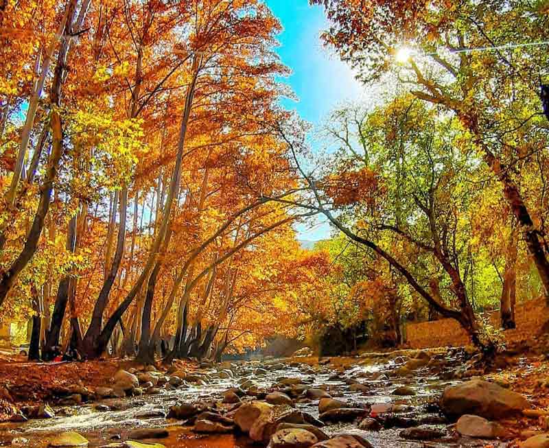 طبیعت پاییزی روستای برغان با رودخانه جاری کنار درختان نارنجی، صفحه اینستاگرام tehran.zoom@، عکاس نامشخص