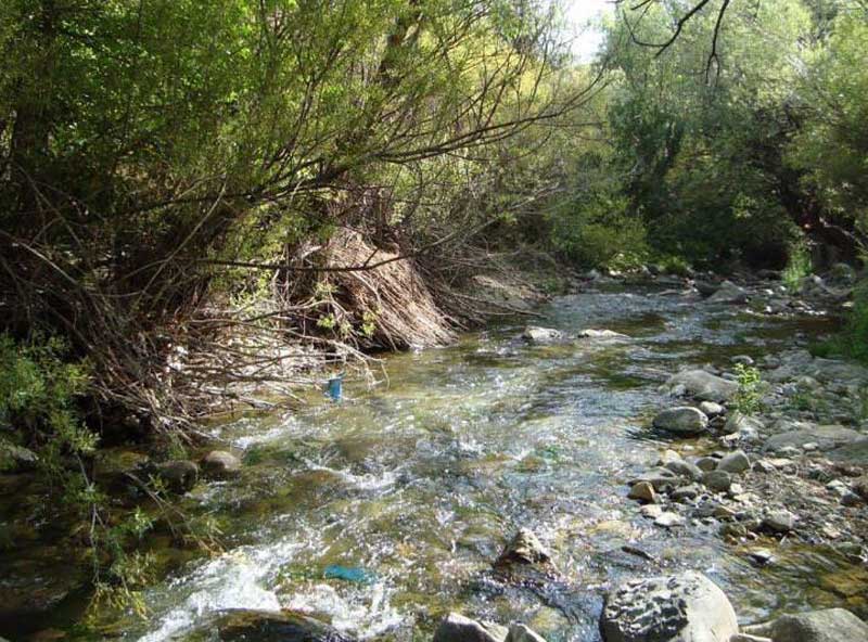 رودخانه خروشان در نزدیکی روستای ارنگه چالوس کنار درختان سبز