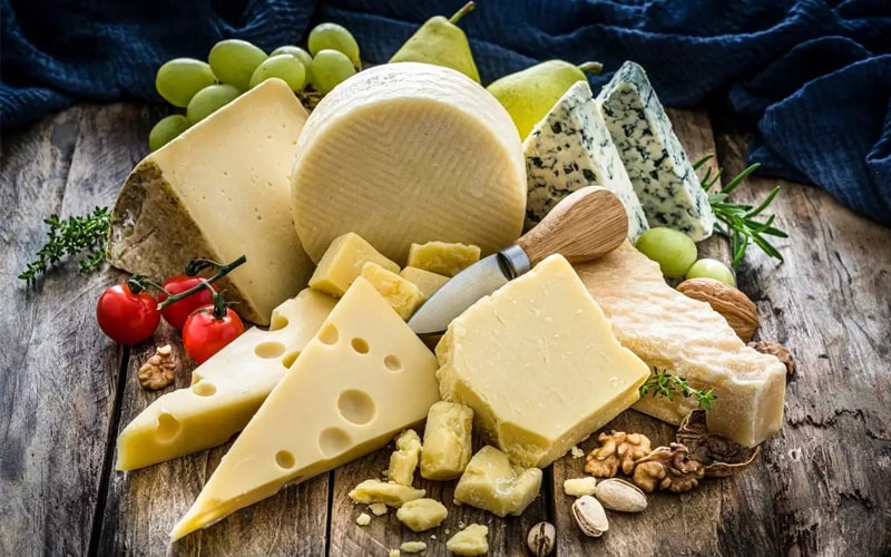 انواع پنیرهای قالبی