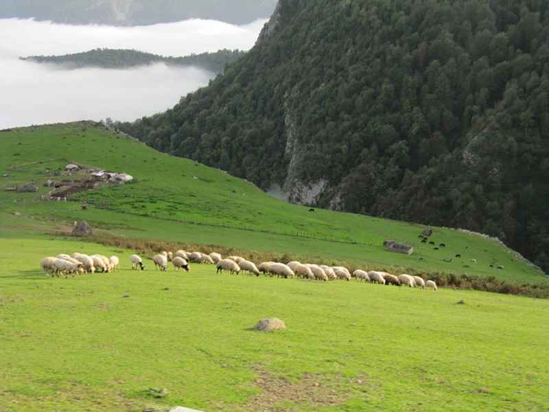 روستای خطبه سرا فرید مهروی گوگل مپ