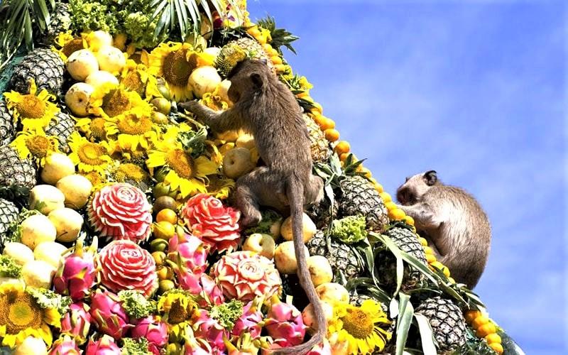 بالارفتن میمون‌ها از تزیینات میوه در جشنواره میمون‌ لوپبوری
