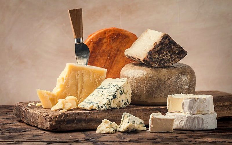مدل‌های مختلف پنیر