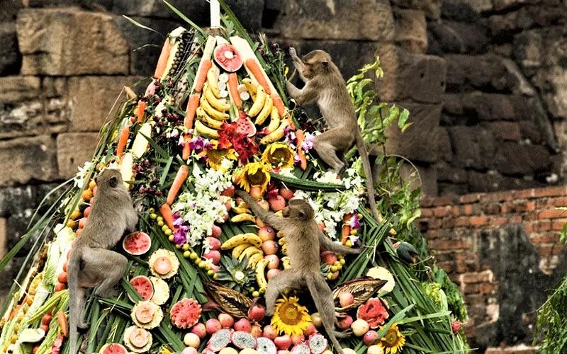 تزیین میوه و سبزی در جشنواره میمون‌ لوپبوری