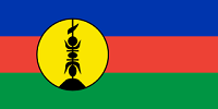 پرچم کالدونیای جدید