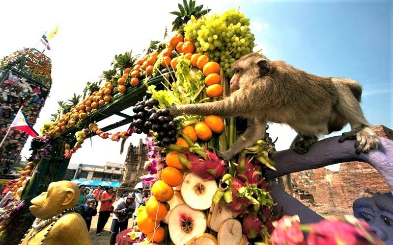 تزیین انواع میوه در جشنواره میمون‌ لوپبوری