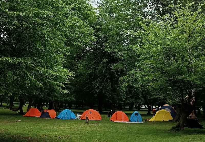 کمپ در جنگل بلیرانمهران محمد خانی گوگل مپ