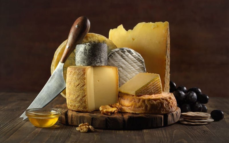 انواع پنیر قالبی