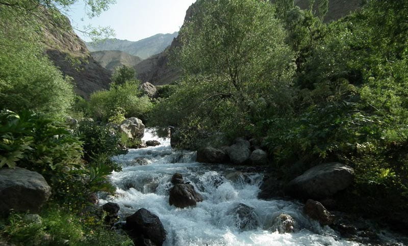 رودخانه خروشان لالان در دره لالان میان بوته های سرسبز