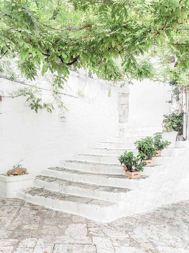 پله‌های سفید مزین به گیاهان سبز در استونی