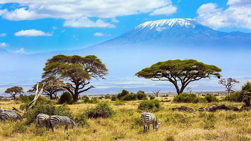 بهترین زمان سفر به کنیا