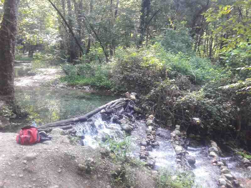 چشمه هفت حوض فرمانده در جنگل بلیران، منبع: گوگل مپ، عکاس: حمید علی نژاد