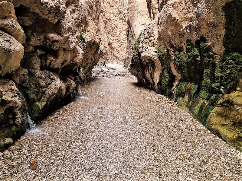آب زلال چشمه مرتضی علی در دره، منبع عکس: گوگل مپ، عکاس: کیمیا سلامی 
