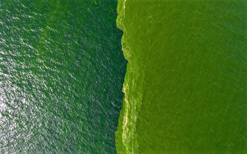 تصویر هوایی از دریاچه دورنگ