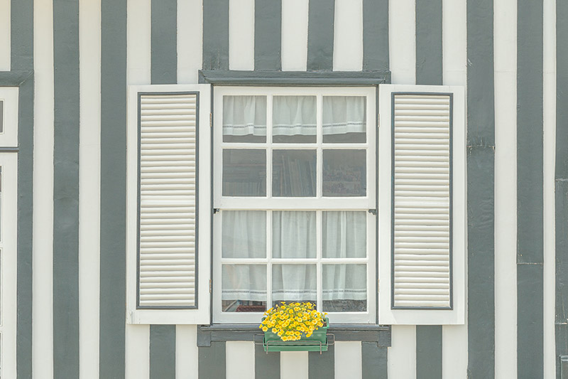گلدانی بر پنجره خانه‌ای در کوستا نوا؛ منبع عکس‌: behance؛ عکاس: Tiago & Tania