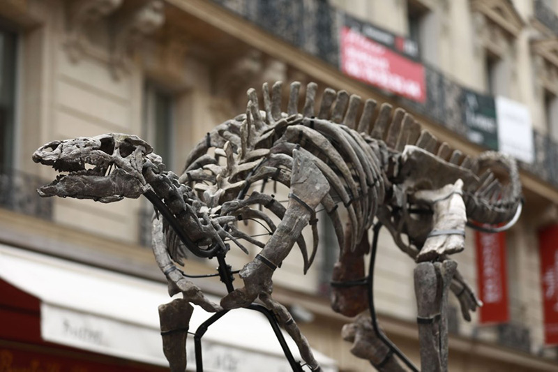 نمایش اسکلت ۱۵۰ میلیون ساله در پاریس؛ منبع: theguardian، عکاس: Mohamad Salaheldin Abdelg Alsayed 