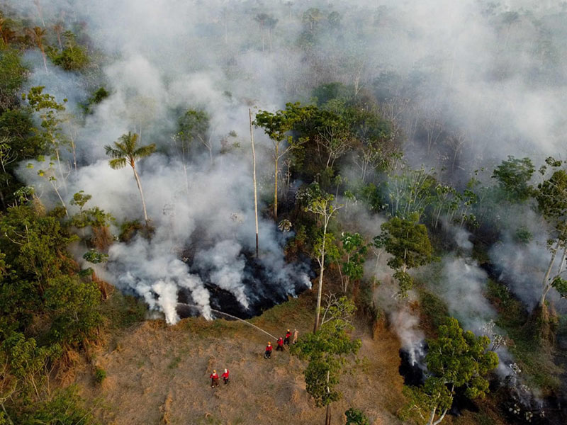 خاموش کردن آتش جنگل توسط آتش نشانان در برزیل؛  منبع: AFP خبرگزاری فرانسه، عکاس: Michael Dantas