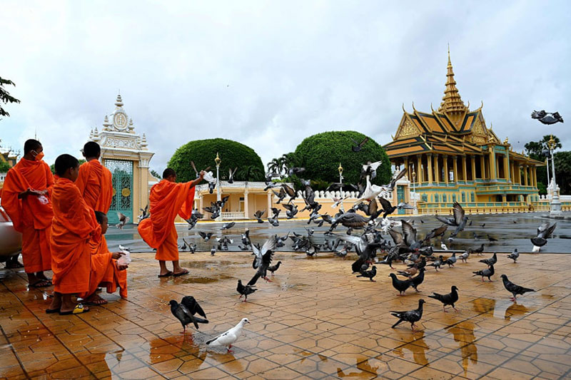 راهبان بودایی در حال غذا دادن به پرنده‌ها؛ منبع: AFP خبرگزاری فرانسه، عکاس: Tang Chhin Sothy