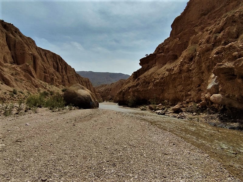 جریان چشمه مرتضی علی در دره طبس،‌ منبع عکس: گوگل مپ، عکاس: پیمان آزادی