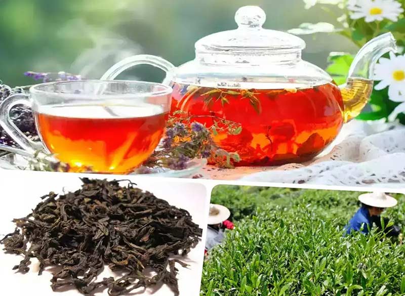 تصویر چای خشک و مزرعه چای دا هونگ پائو