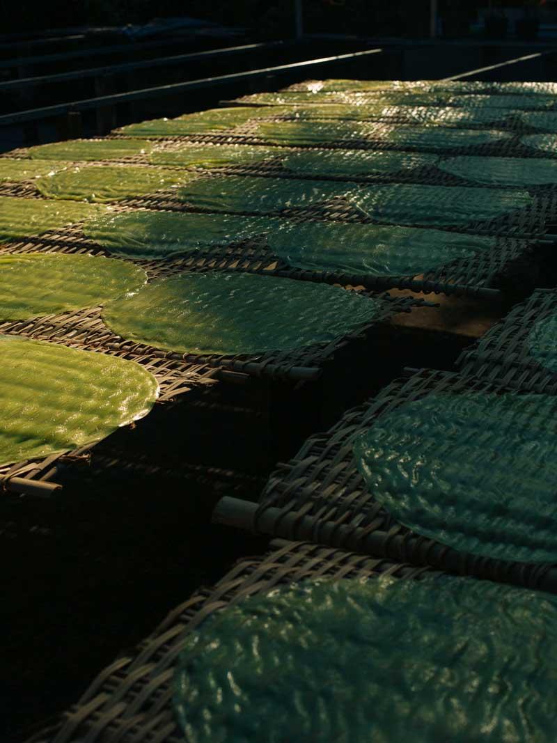 سقف چوبی پوشیده شده با برگ سبز در ویتنام 