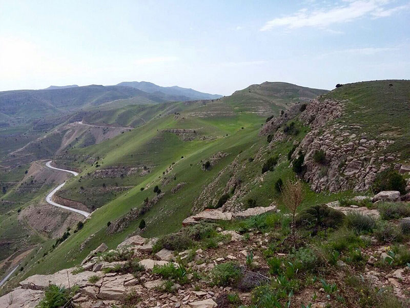 طبیعت زیبای پارک ملی تندوره؛ منبع عکس: گوگل مپ؛ عکاس: حسین رهنما