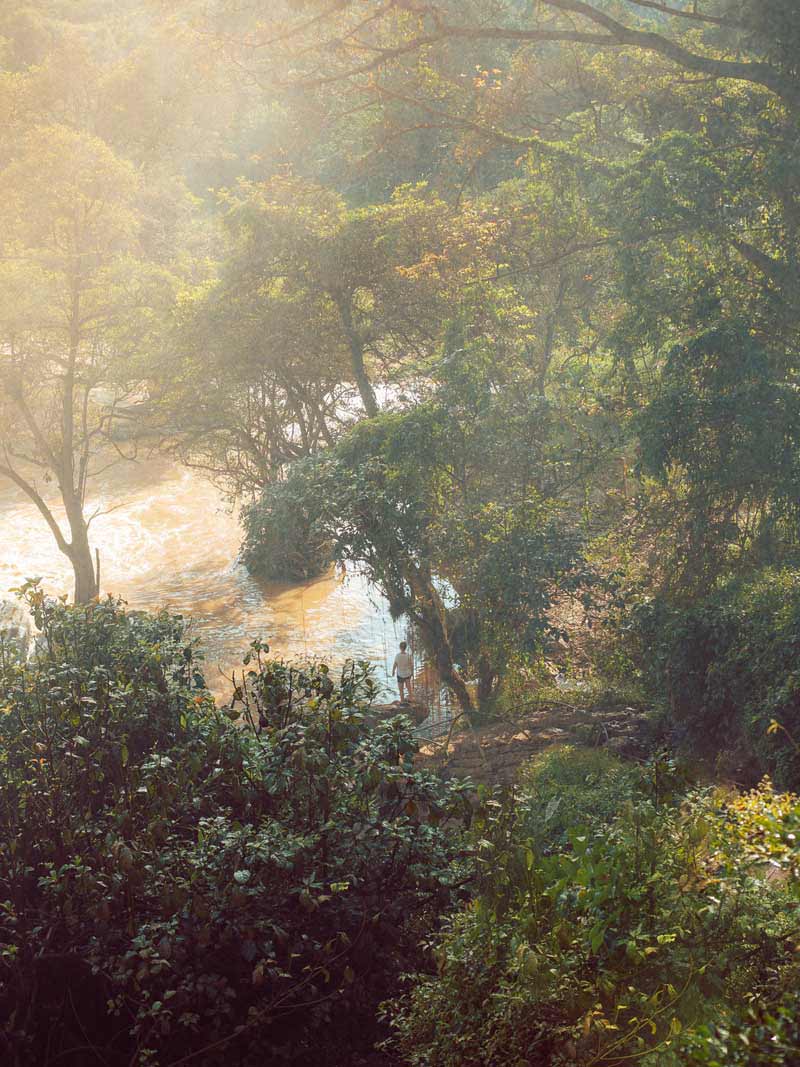 فردی در پارک ملی فونگ نها-که بنگ ویتنام 