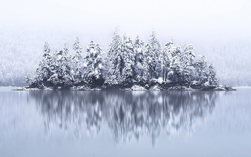 درختان برفی در اطراف دریاچه