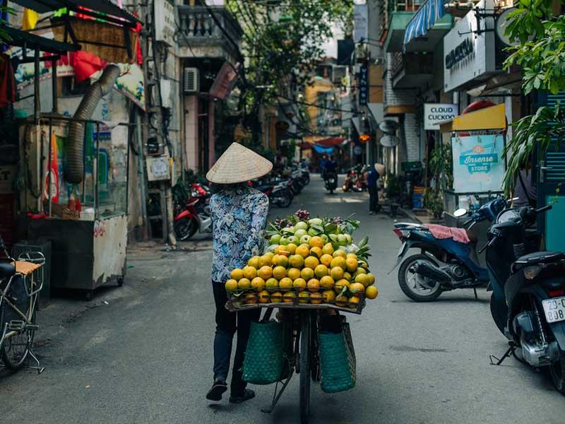 فروشنده دوره‌گرد ویتنامی در حال فروش مرکبات 