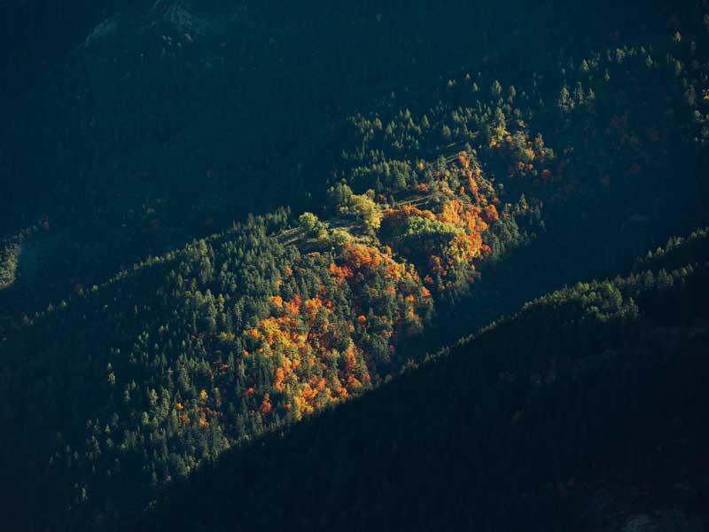 جنگلی کوهستانی در اروپا در ابتدای پاییز 