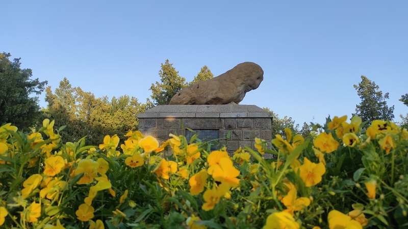 مجسمه شیر سنگی همدان؛ منبع عکس: گوگل مپ؛ عکاس: علی جعفری
