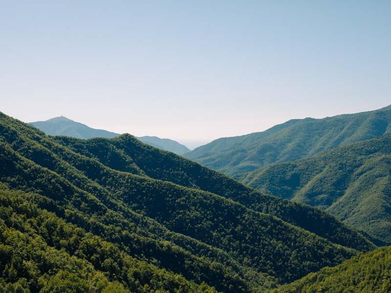 کوهستانی سر سبز در اروپا